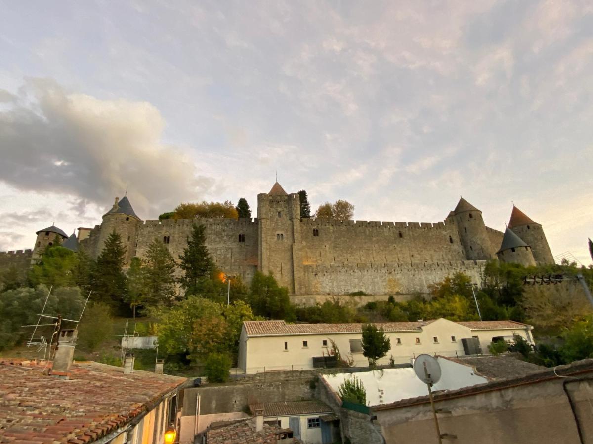 Au Pied De La Cite, T3 Au Calme Apartment Carcassonne Luaran gambar